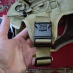 Military K9 Dog Training Vest photo review