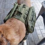 Camper Saddle Dog Backpack